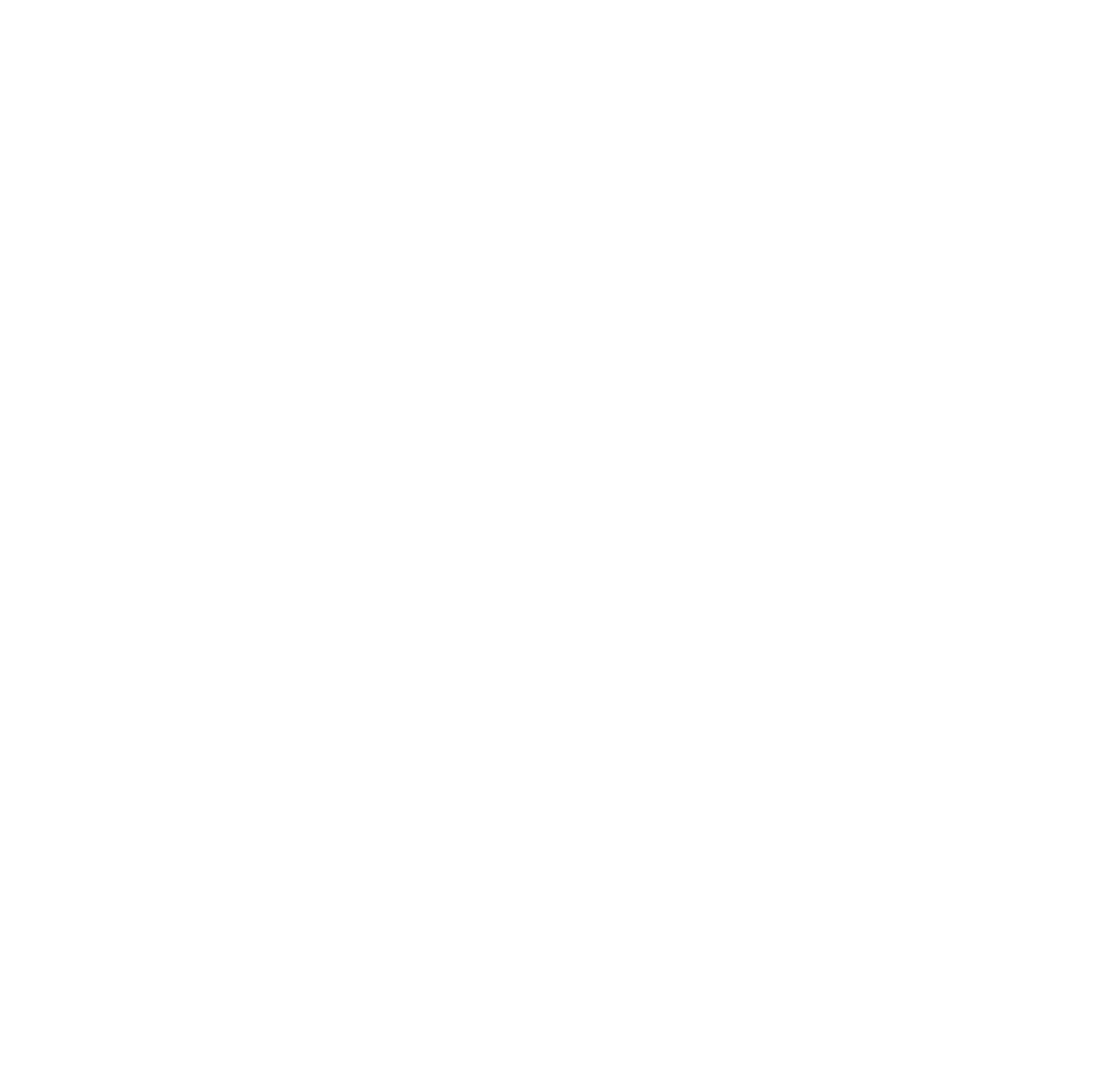 Little John Transportation Services